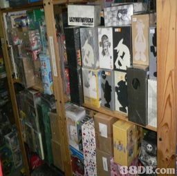 Toy Zone 16 一站式玩具交易平臺，寄賣服務(wù)引領(lǐng)收藏新潮流
